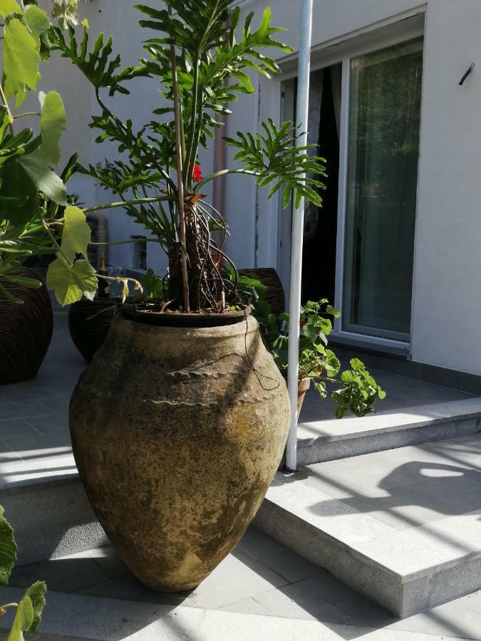 Villa Piera モンデッロ エクステリア 写真